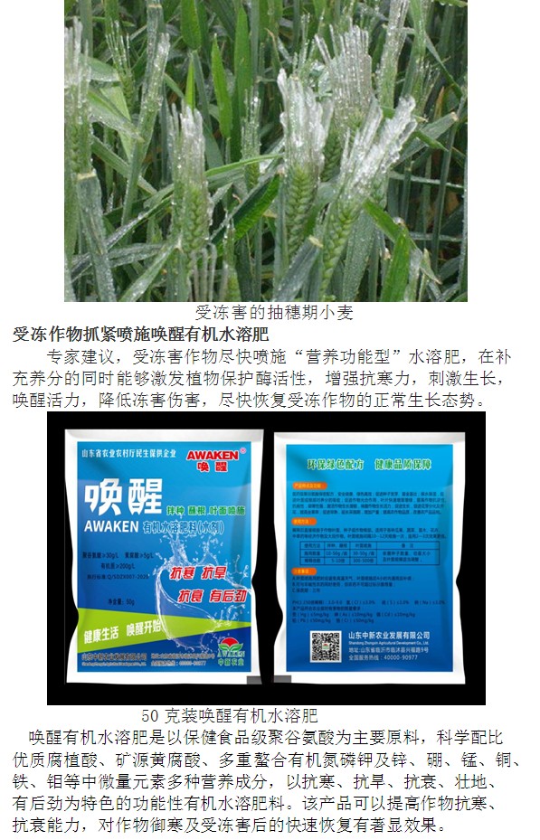 东升国际官网-相信品牌力量