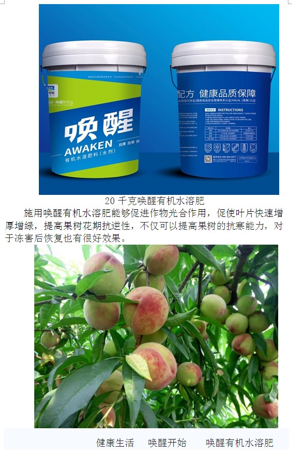东升国际官网-相信品牌力量