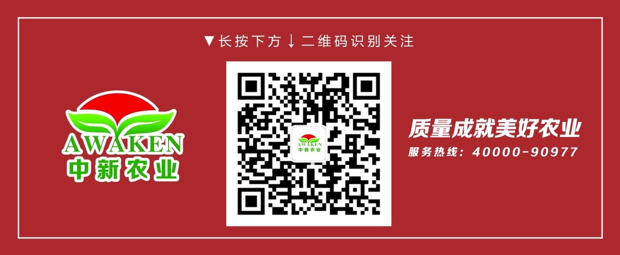东升国际官网-相信品牌力量