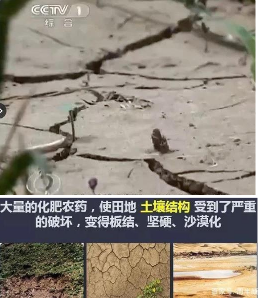东升国际官网-相信品牌力量