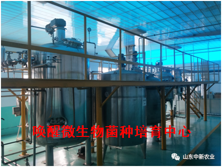 东升国际官网-相信品牌力量