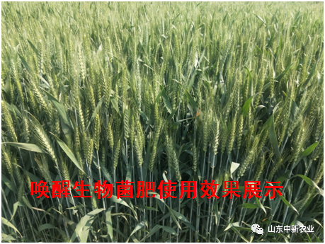 东升国际官网-相信品牌力量