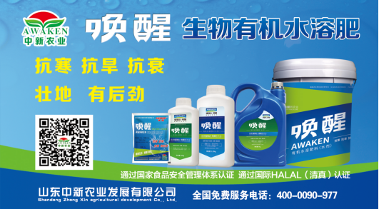 东升国际官网-相信品牌力量