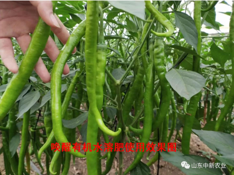 东升国际官网-相信品牌力量