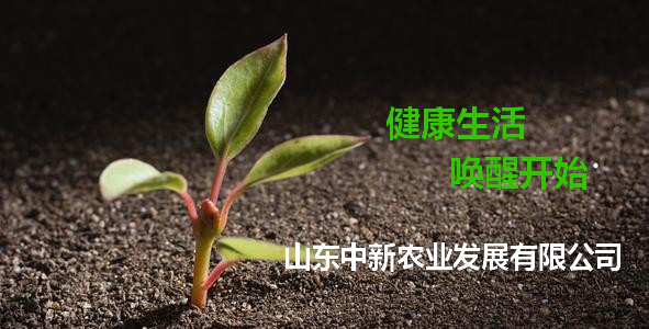 东升国际官网-相信品牌力量