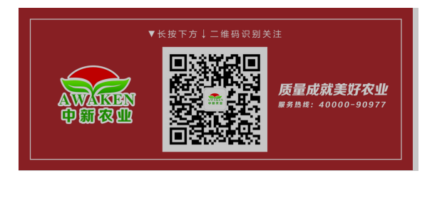 东升国际官网-相信品牌力量