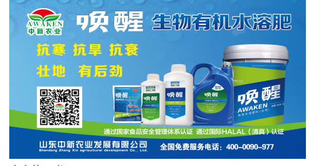 东升国际官网-相信品牌力量