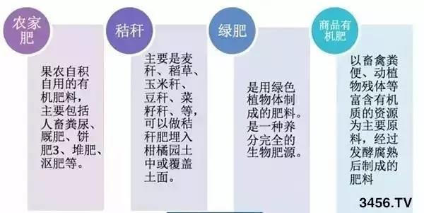 东升国际官网-相信品牌力量