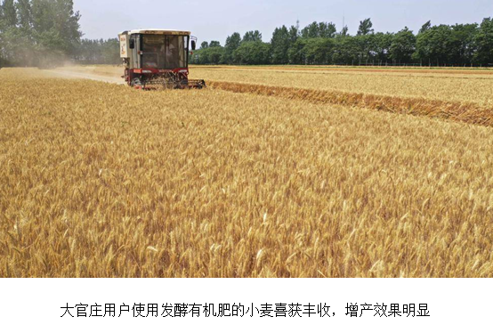 东升国际官网-相信品牌力量