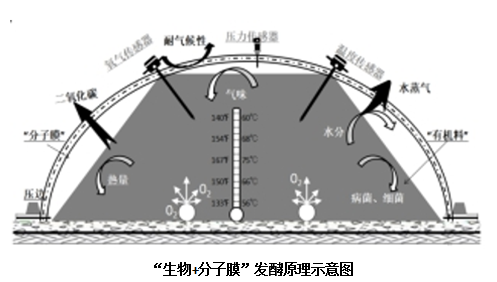 东升国际官网-相信品牌力量