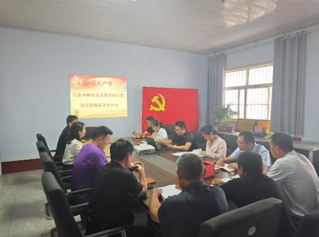 筑牢新使命、聚力新发展——东升国际官网圆满 完成换届选举工作
