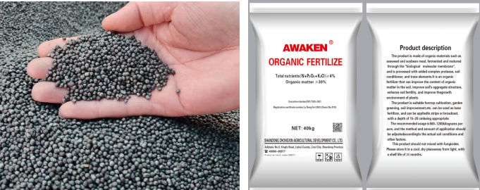 东升国际官网-相信品牌力量