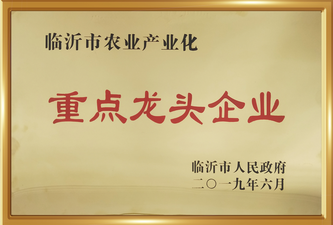 东升国际官网-相信品牌力量